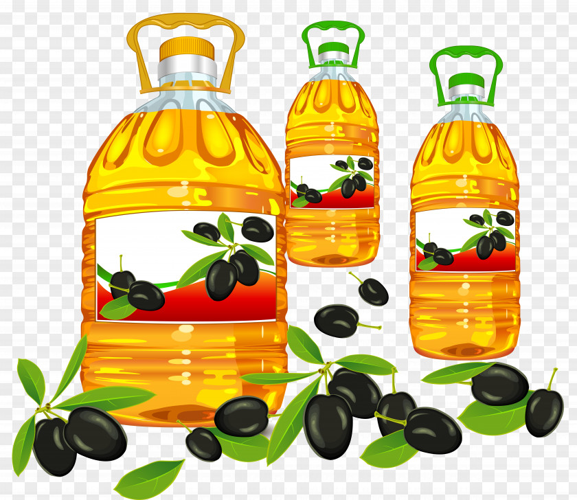 Soybean Oil Cooking Olive Palm Clip Art PNG
