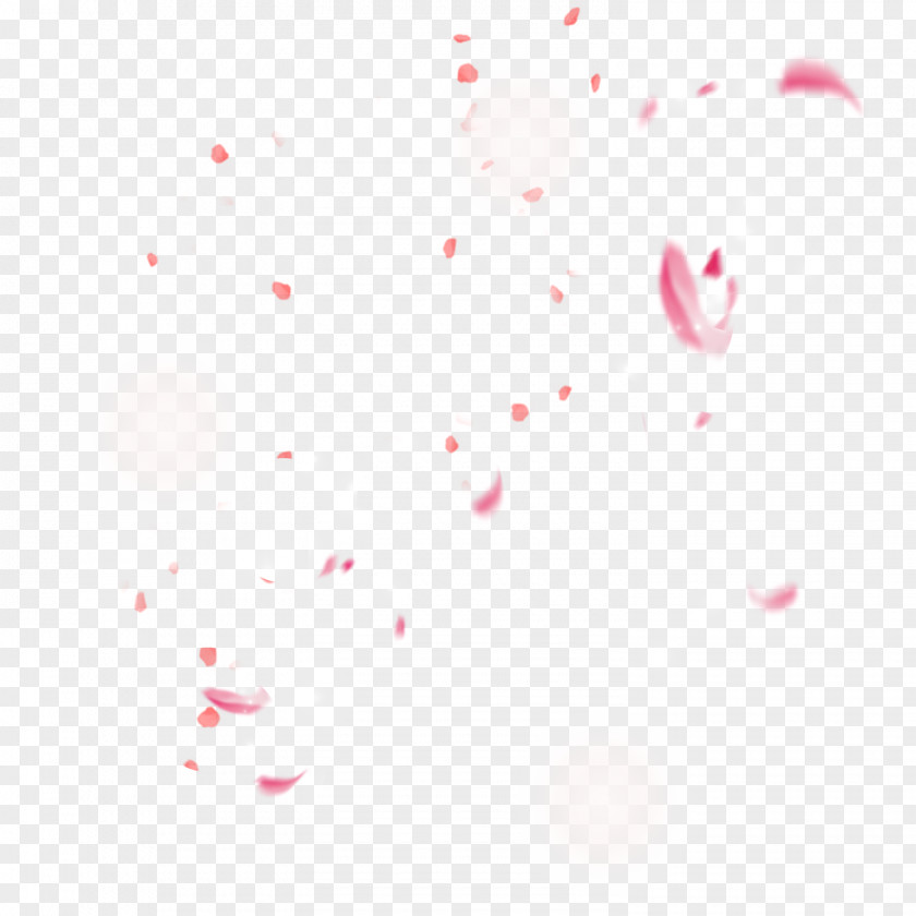 Cherry Blossom Petals Floating Decorative Material Video Icon PNG