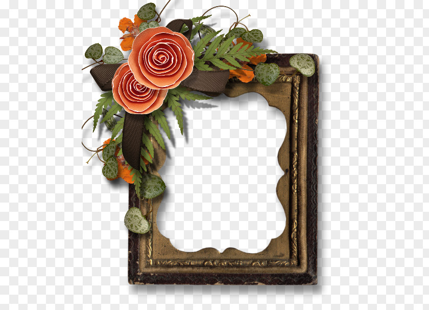 Flower Floral Design Picture Frames PNG