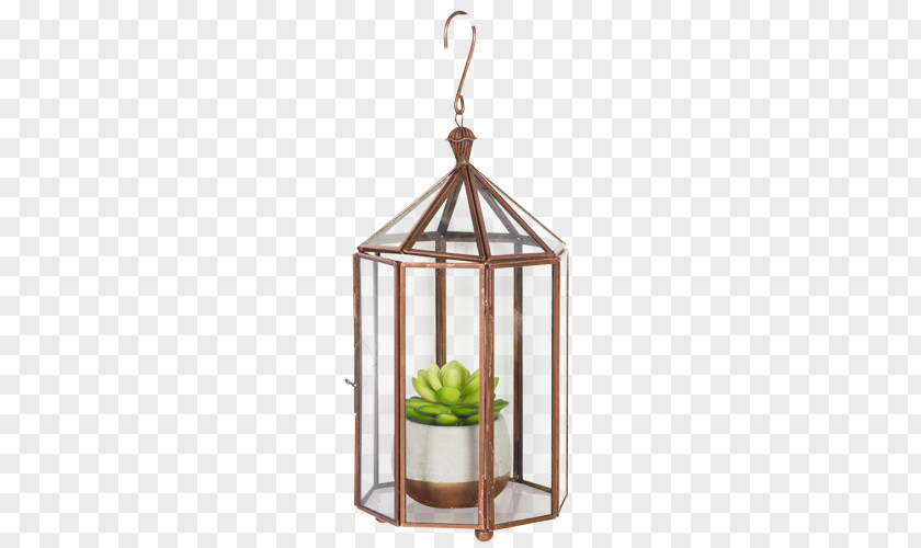 Glass Display Rack Lighting Terrarium Lantern PNG