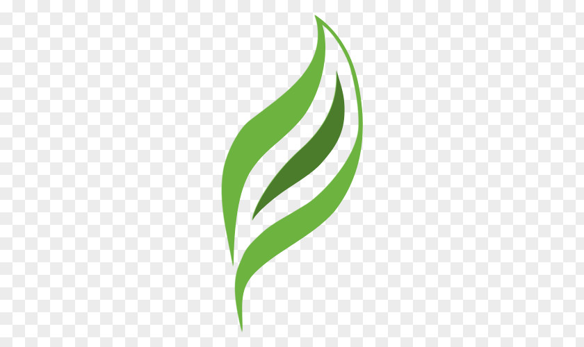 Leaf Logo Plant Stem Brand Font PNG