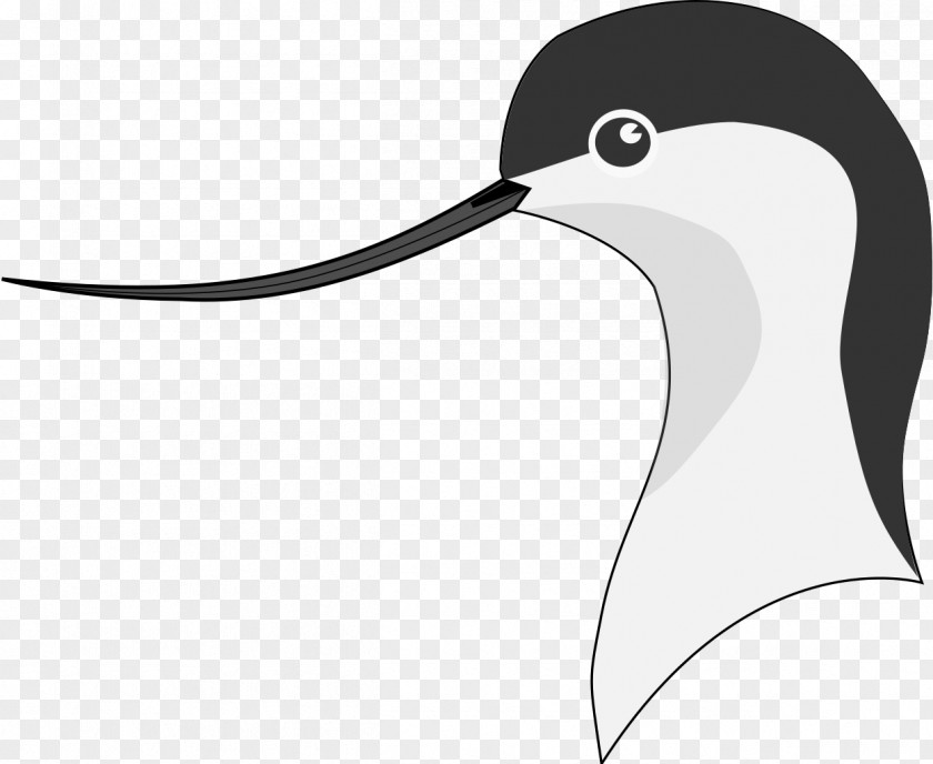 Penguin Pied Avocet Beak Bird Clip Art PNG