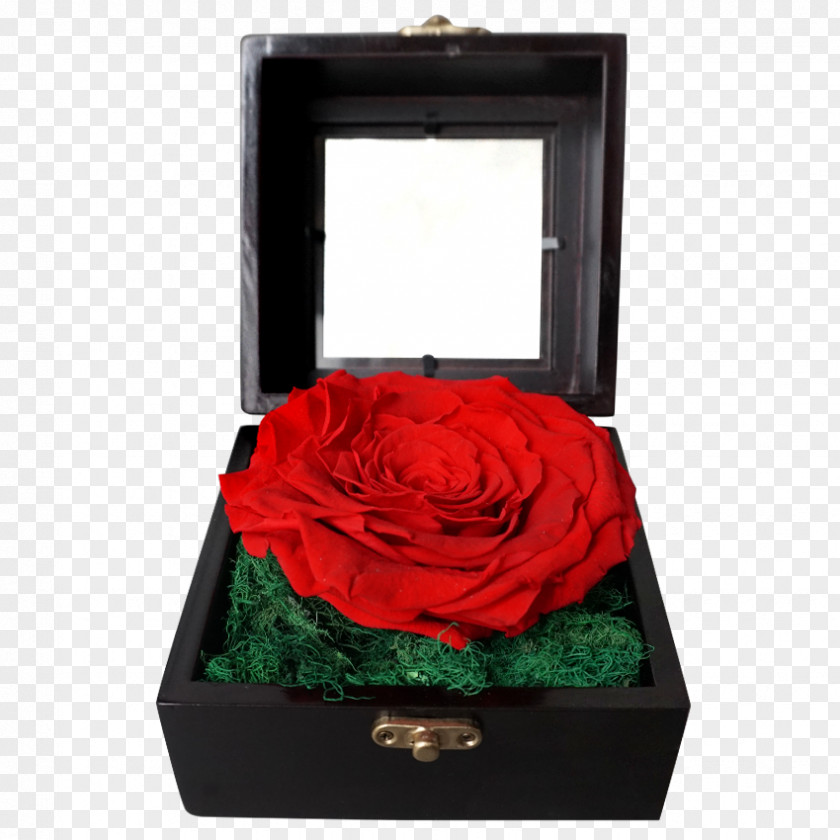 Toko Bunga Online Jakarta Red Flower BouquetForever 21 Promo Items Garden Roses Outerbloom Florist PNG