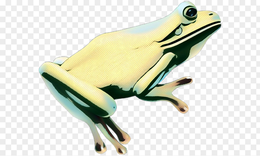Tree Frog True Product Design Technology PNG