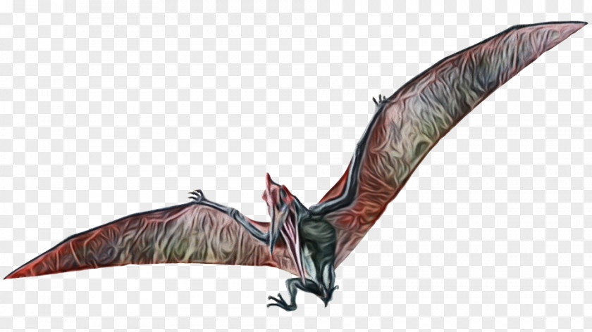 Wing Bat Cartoon PNG