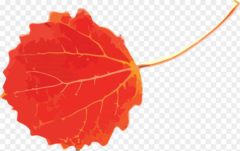 Autumn Leaf Yellow PNG