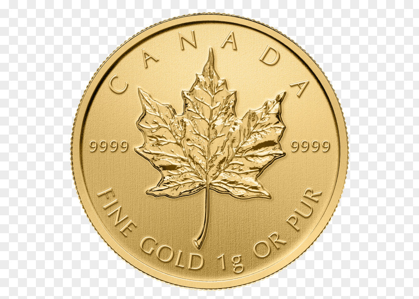 Canada Canadian Gold Maple Leaf Coin PNG