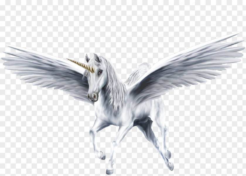 Pegasus Winged Unicorn Horse PNG