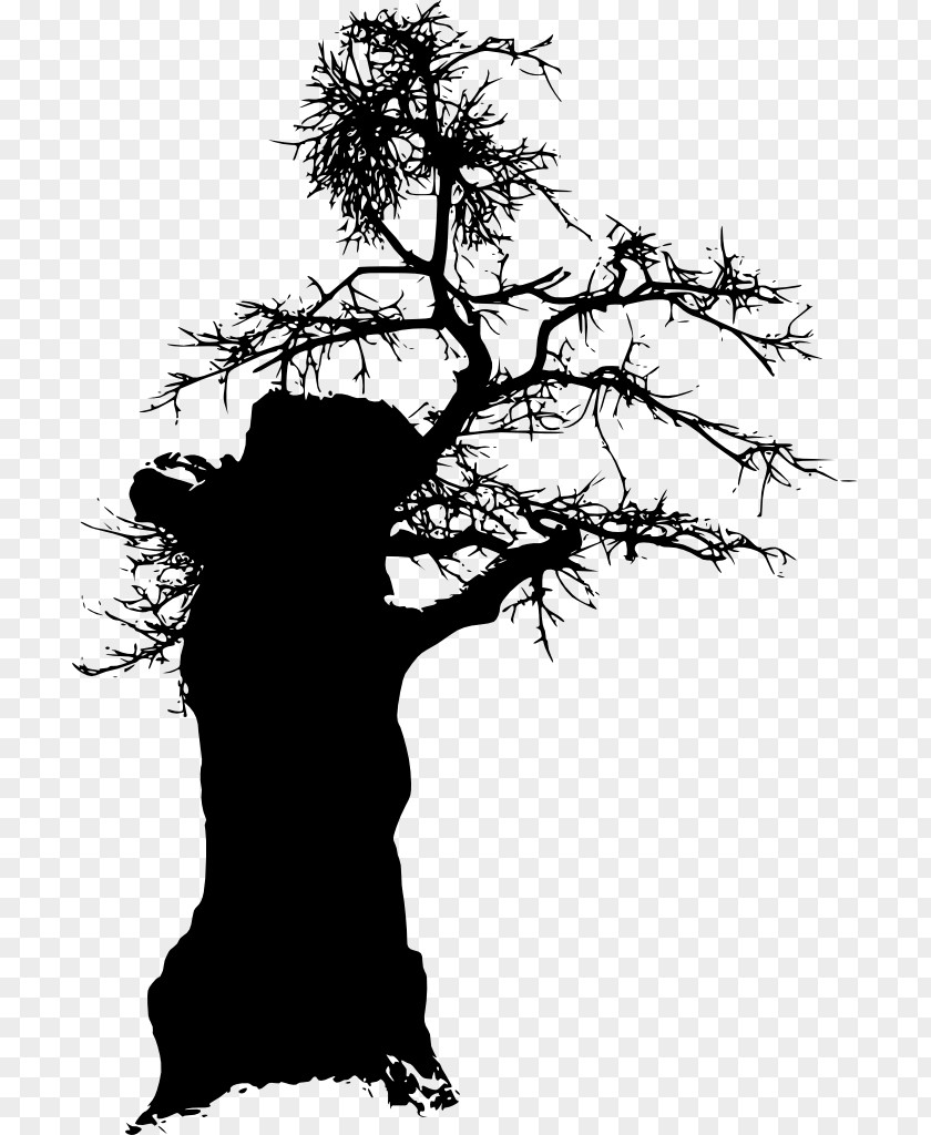 Silhouettes Silhouette Tree PNG