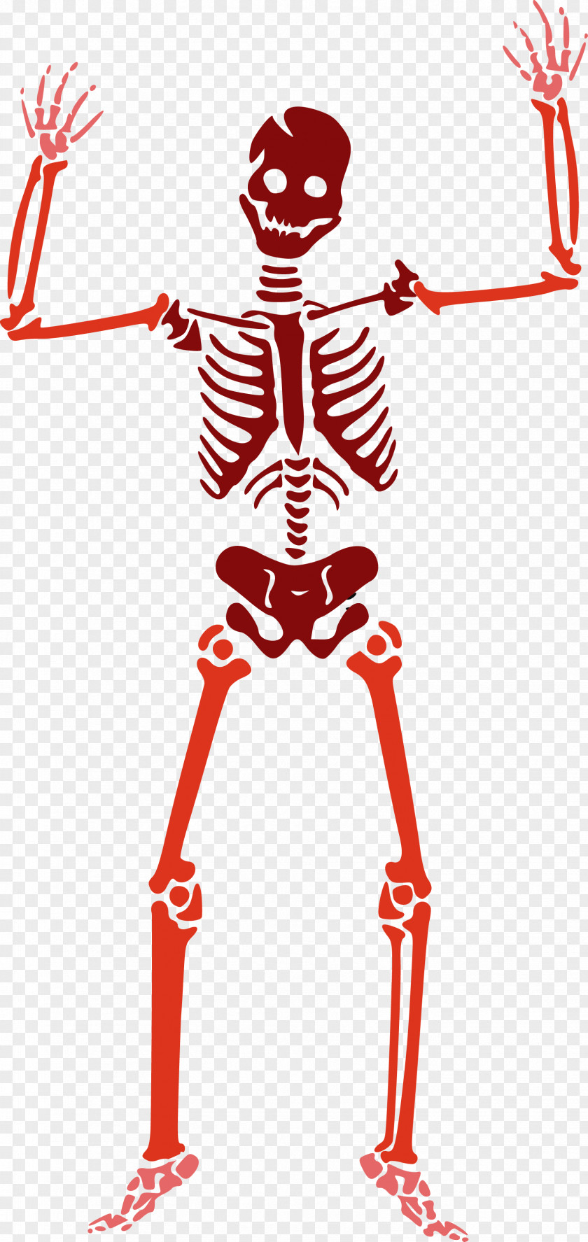 Skull Clip Art Human Skeleton Halloween PNG