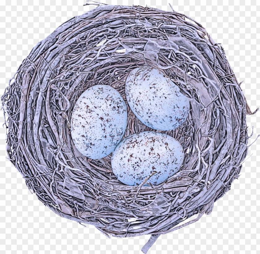 Bird Nest Egg PNG