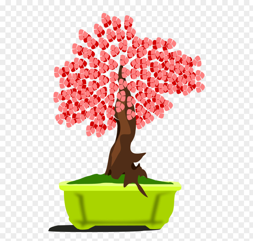 Bonsai Public Domain Clip Art PNG