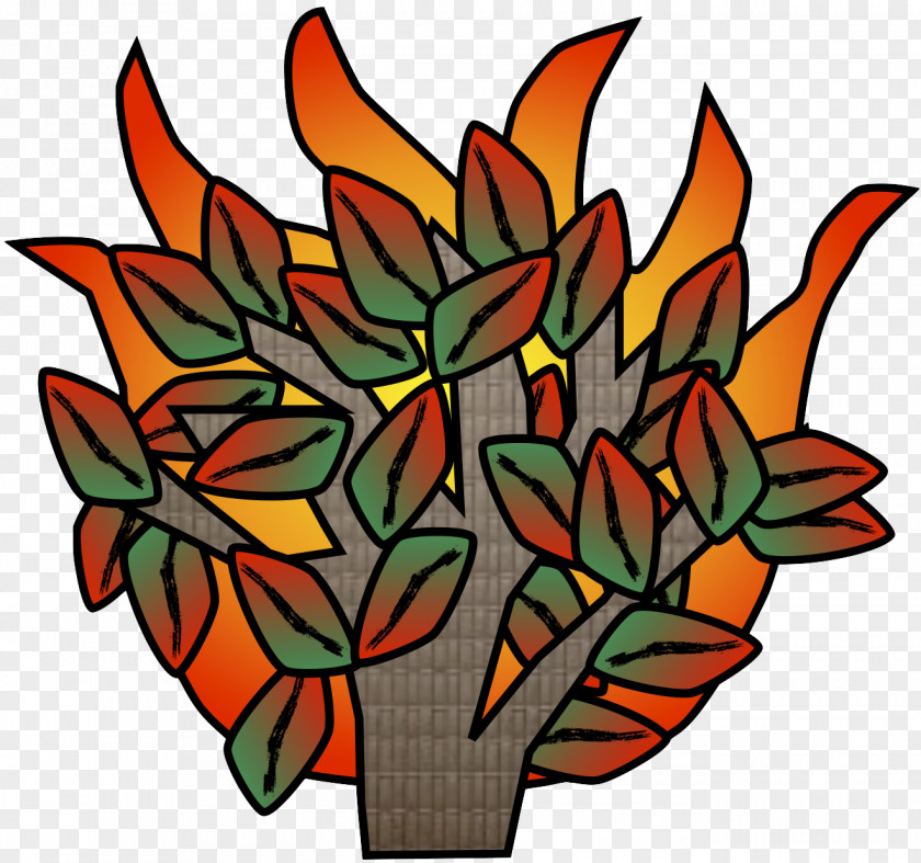 Burning Bush Floral Design Cut Flowers Clip Art Leaf PNG