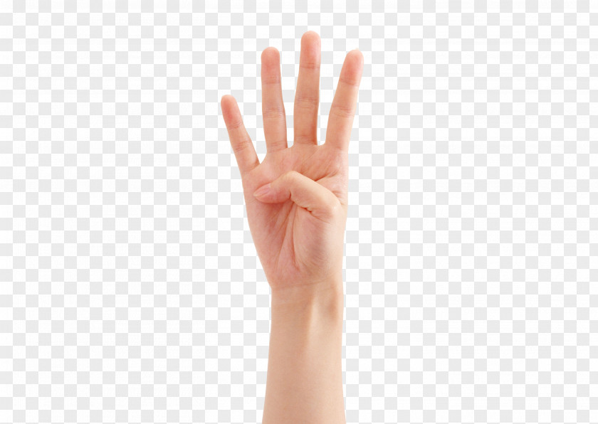 Four Fingers Thumb Hand Model PNG