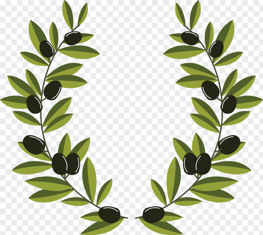 Olive Branch Wreath PNG branch wreath, olive decoration, green leaf illustration clipart PNG