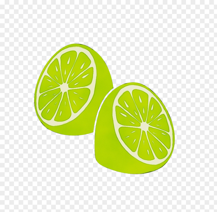 Plant Yellow Citrus Lime Green Key Lemon PNG