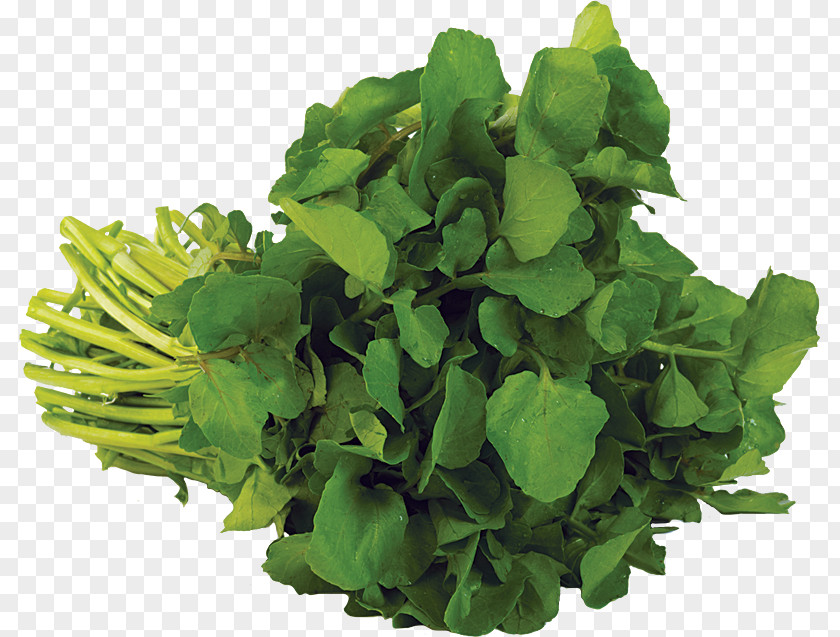 Sandwich Online Delivey NYC Leaf VegetableCabbage Organic Food Watercress Parsley Sunac Natural Market PNG