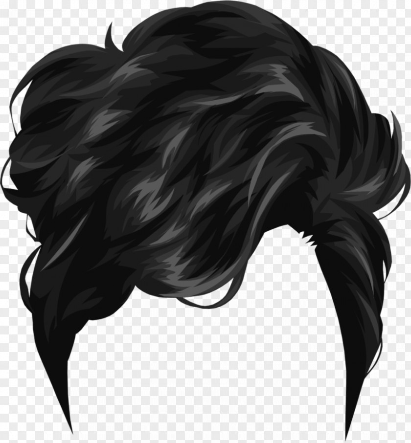 Bearded Dragon Hairstyle Wig Clip Art PNG