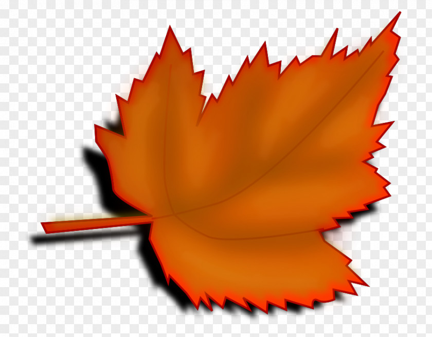 Big Leaves Cliparts Red Maple Leaf Autumn Color Clip Art PNG