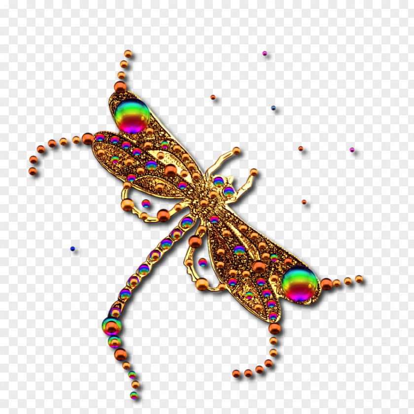 Dragonfly Art Images Free Content Clip PNG