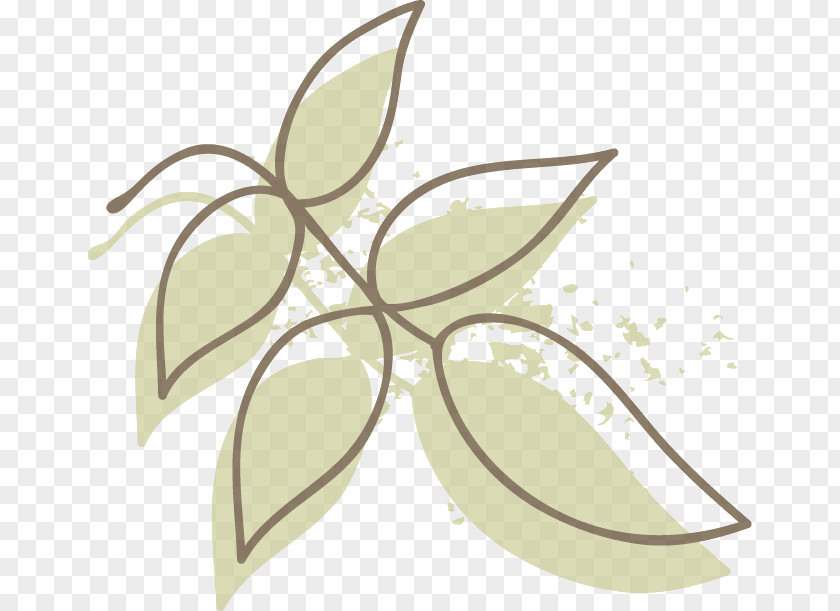 Floral Design PNG