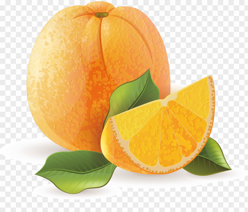 Orange Decoration Design Juice Tangerine Mandarin PNG
