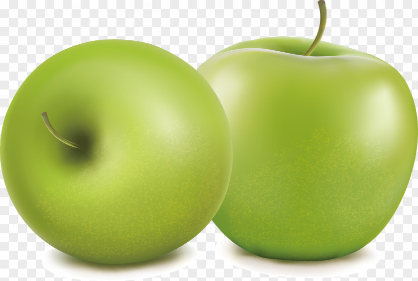 The Green Apple Fruit Vector Picture Material Granny Smith PNG
