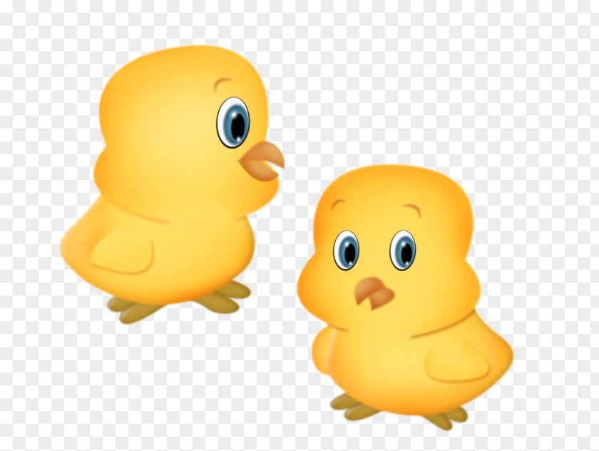 Duck Chicken Drawing Los Pollitos Image PNG