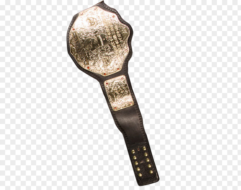 ECW World Heavyweight Championship WWE Professional Wrestling PNG wrestling championship, others clipart PNG