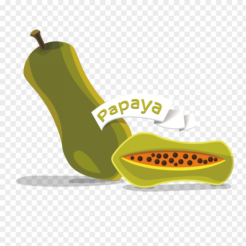 Green Melon Papaya Cantaloupe PNG