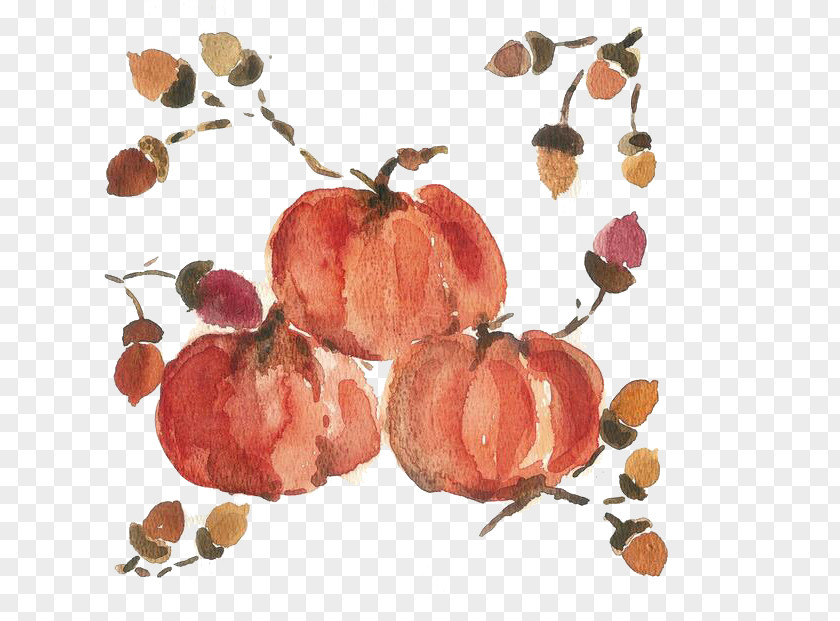 Persimmon Watercolor Painting Chinese Canvas PNG