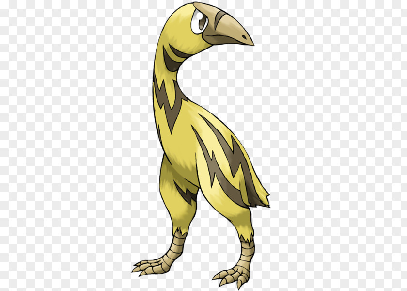 Sabertoothed Tiger Beak Bird Of Prey Pokémon Cassowary PNG