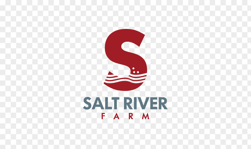 Salt River Project Logo Visual Design Brand Health Insurance Art Director PNG