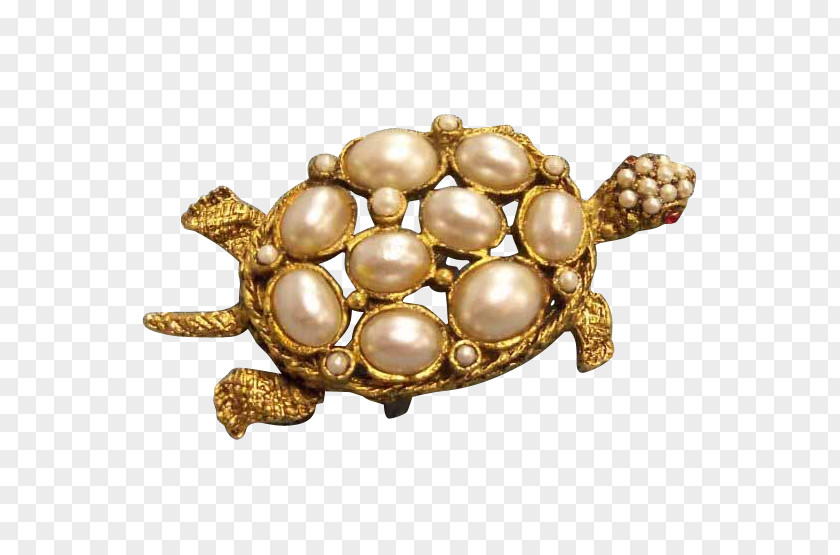 Vintage Peacock Brooch Tortoise Pond Turtles Body Jewellery Gemstone PNG