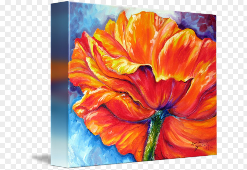 Watercolor Poppy Still Life Photography Acrylic Paint Gallery Wrap Art PNG
