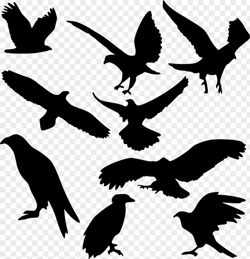 Bird Art Clip PNG