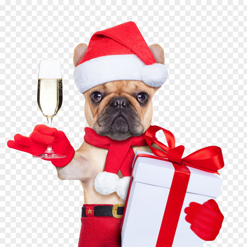 Puppy Santa Claus Dog Christmas Card PNG