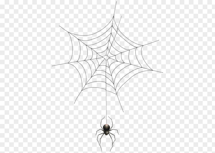 Spider Web Halloween Clip Art PNG