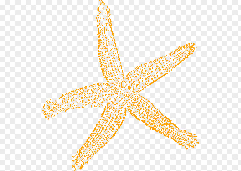Starfish Cliparts Free Content Royalty-free Clip Art PNG