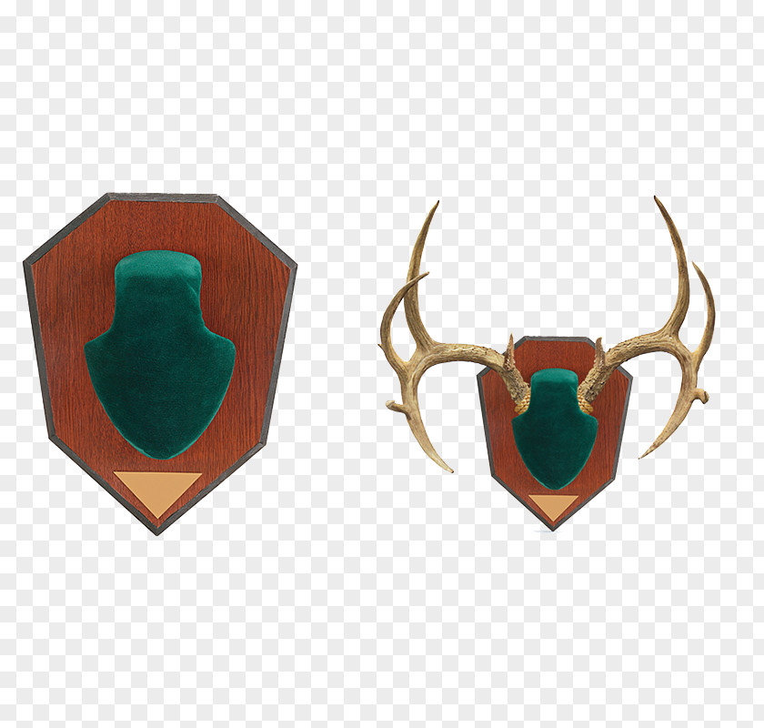 Antler Horn Deer Clothing Accessories Skull Mounts PNG