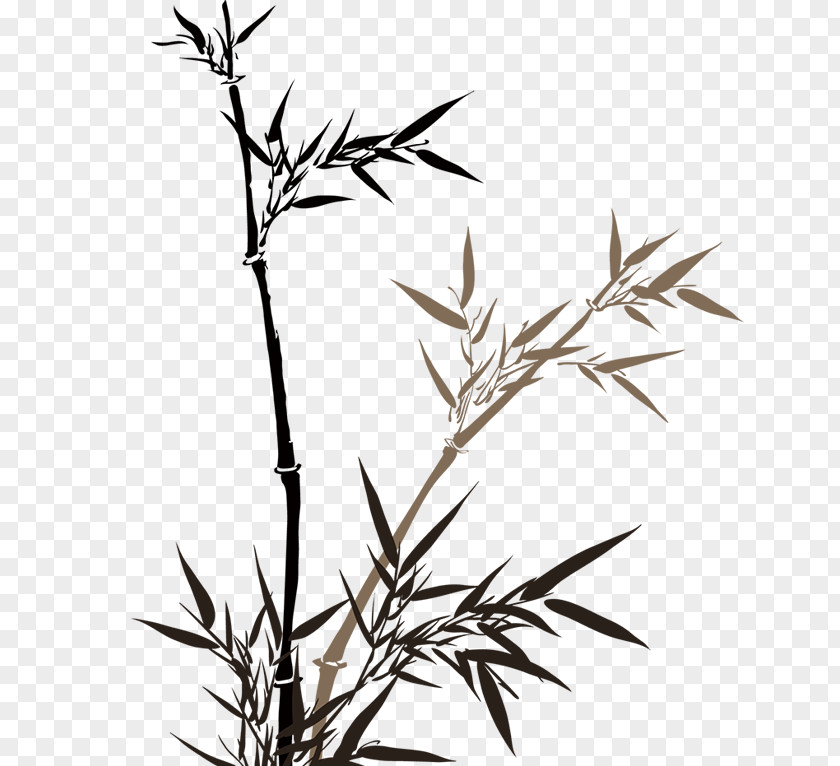 Bamboo Chinoiserie PNG