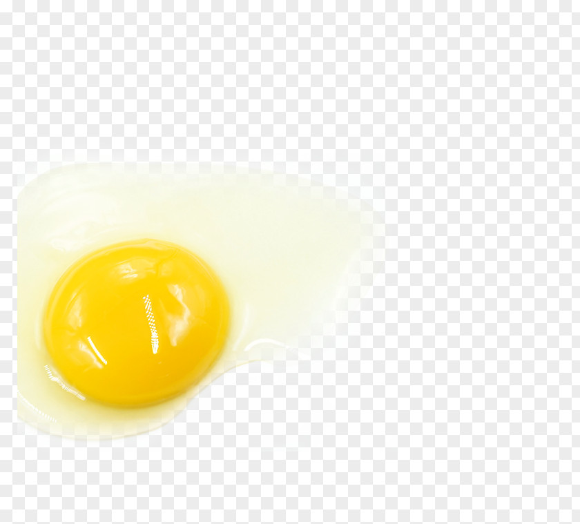 Egg Yolk Yellow PNG