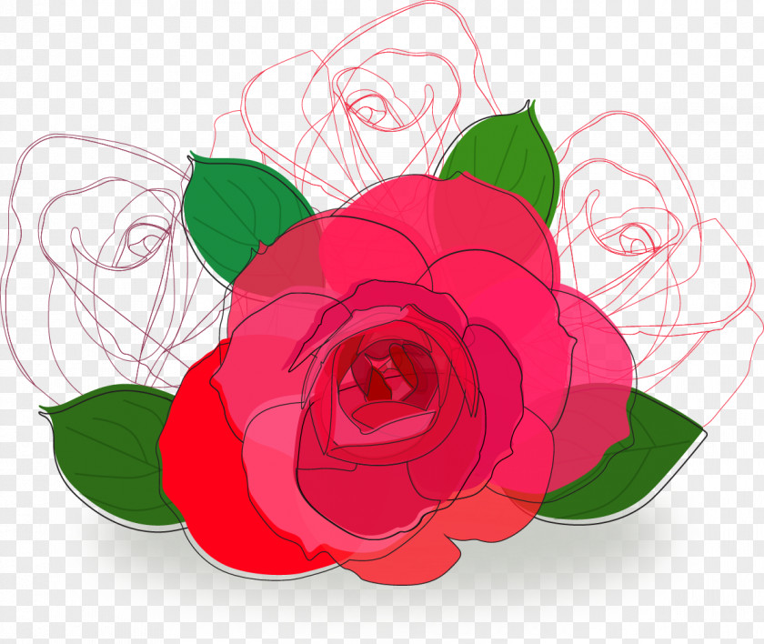 Flower Line Beach Rose Drawing PNG