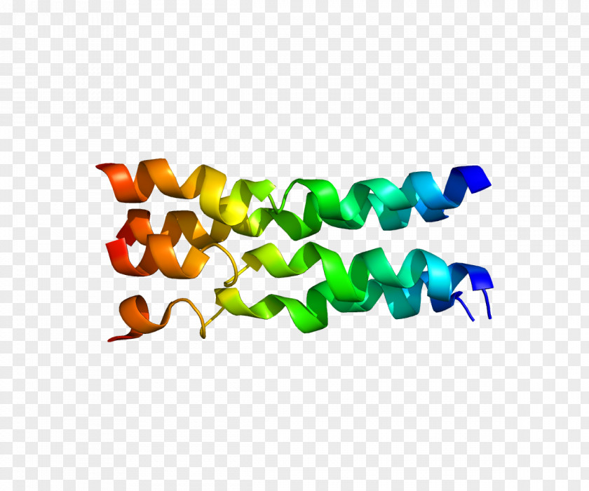 FXYD Family FXYD1 Protein Gene FXYD3 PNG