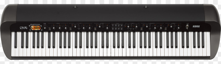 Keyboard Korg SV-1 88 73 Musical Instruments Digital Piano PNG