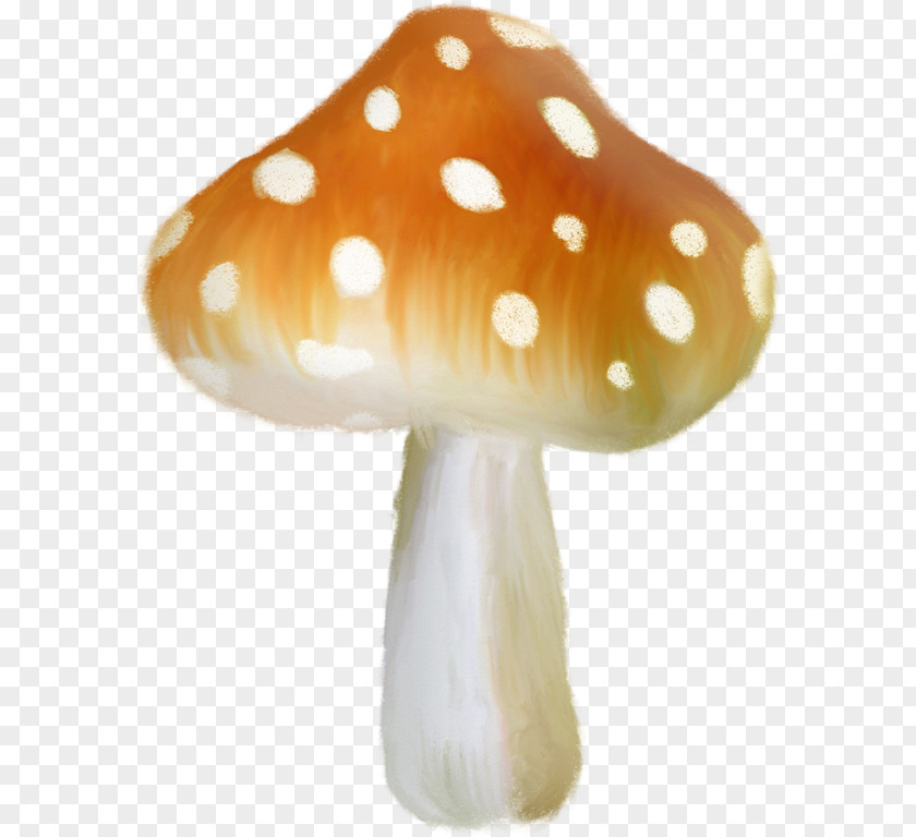 Mushroom RGB Color Model Clip Art PNG