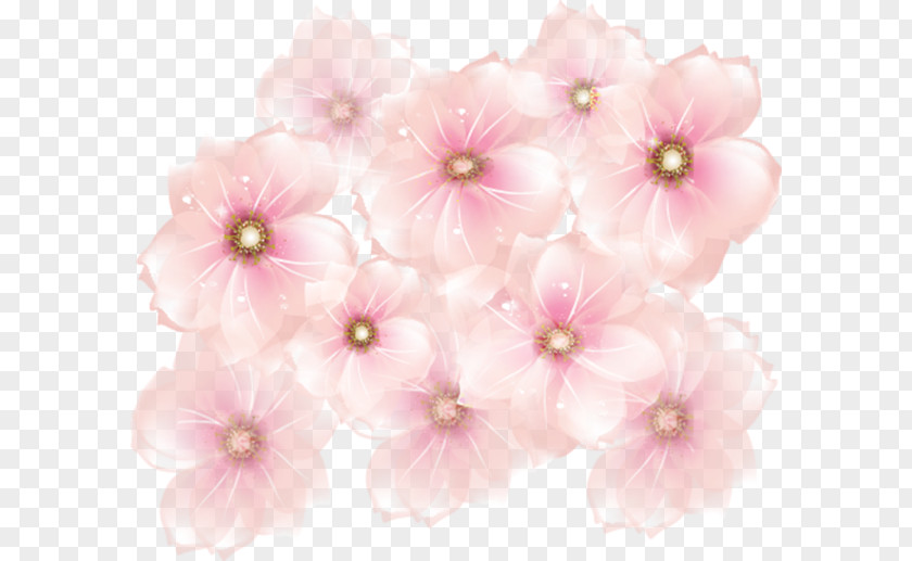 Pink Flower Flowers Rose Clip Art PNG