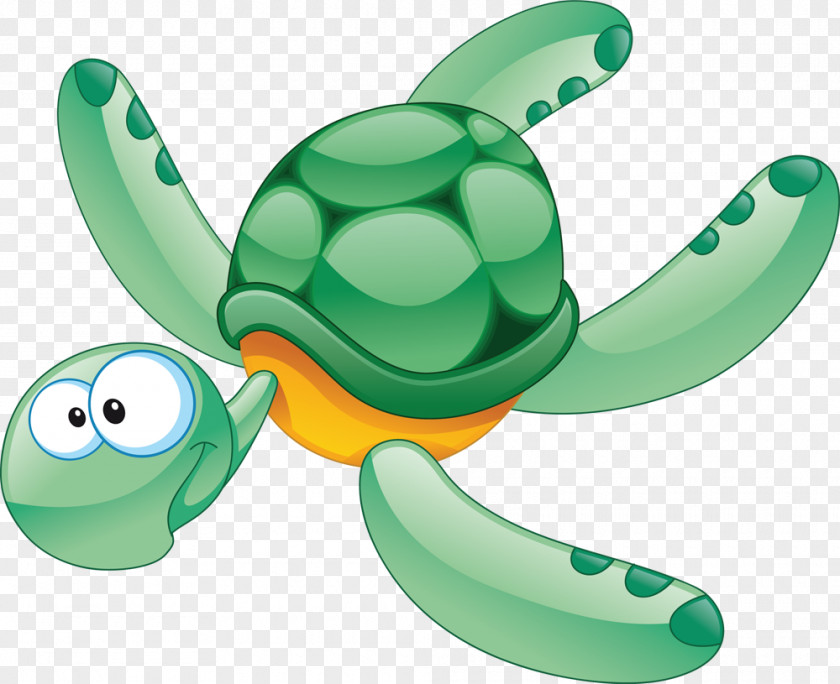 Turtle Aquatic Animal Clip Art PNG
