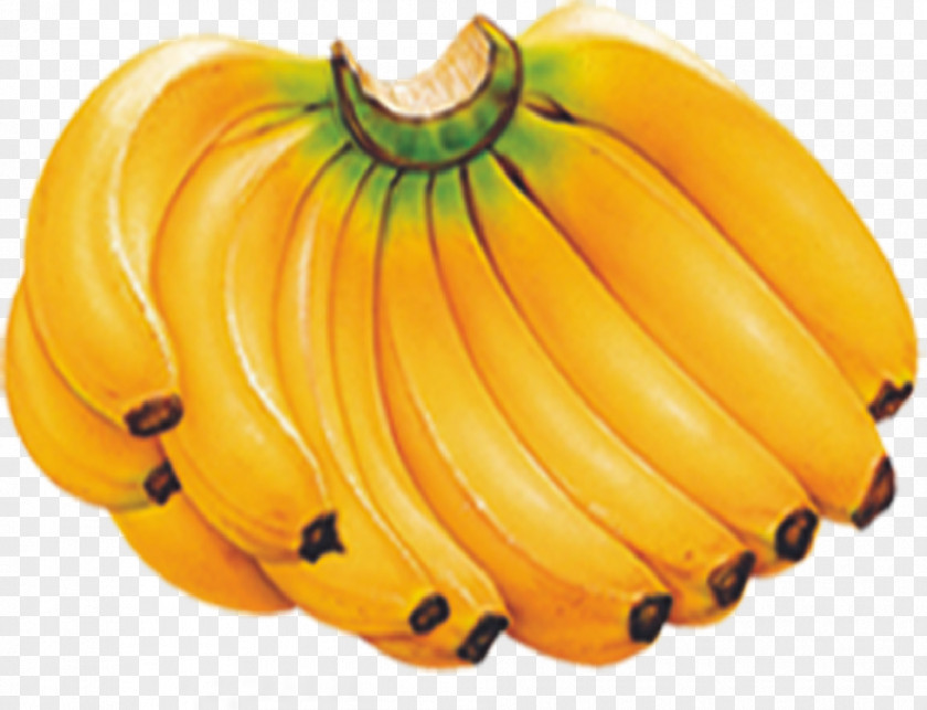 Banana Fruit Nutrition Food PNG