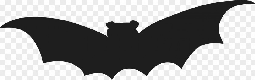 Bat Halloween Party Photography Silhouette PNG